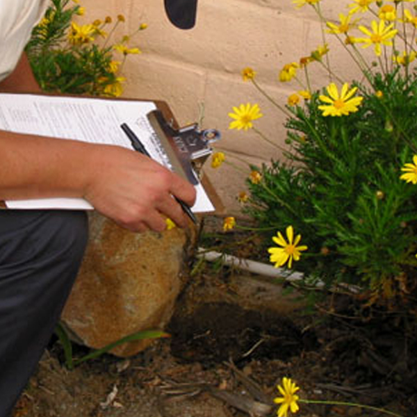 pest control services in trichy