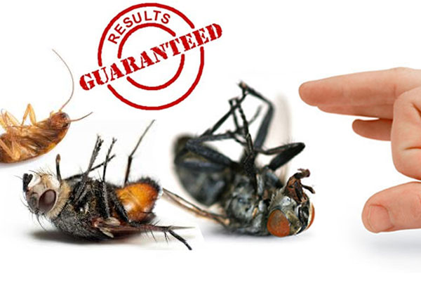 pest control servces in trichy