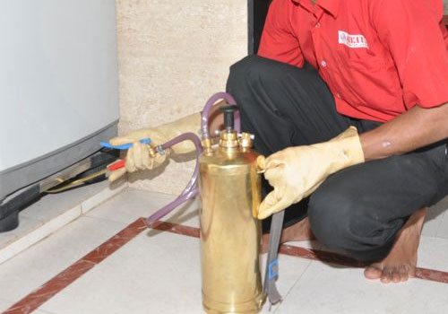 Trichy Pest Exterminator