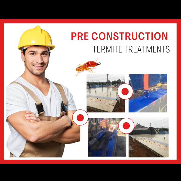 Pre-construction termite treatment: Protect your property with professional termite prevention measures.