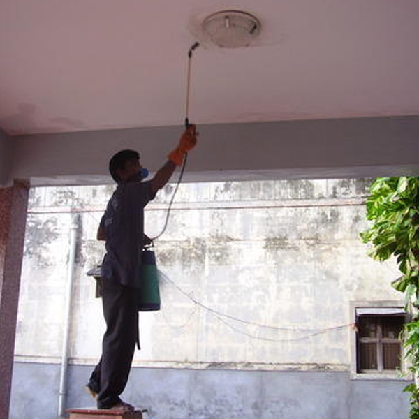 pest control services in trichy